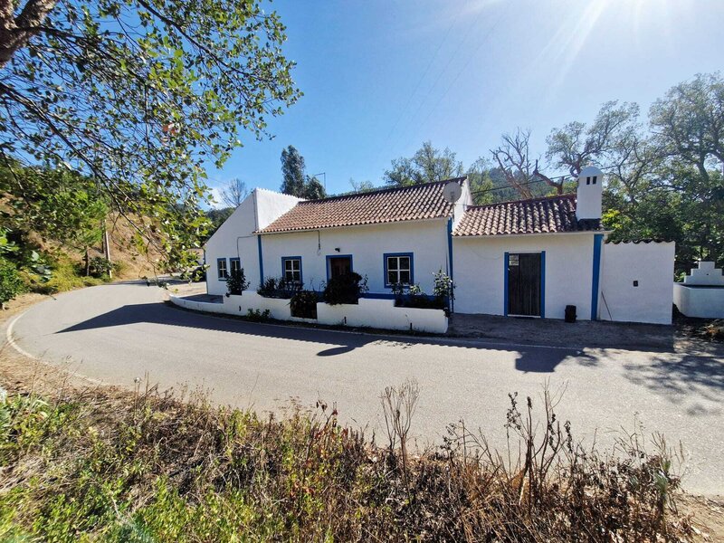 Small farm 3 bedrooms with house Monchique - backyard, fruit trees, fireplace, water, water hole