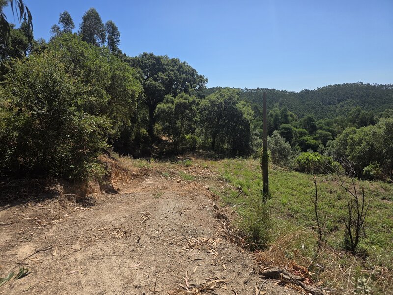 Land with 13520sqm Vale de Água de Baixo Marmelete Monchique - easy access, cork oaks, electricity