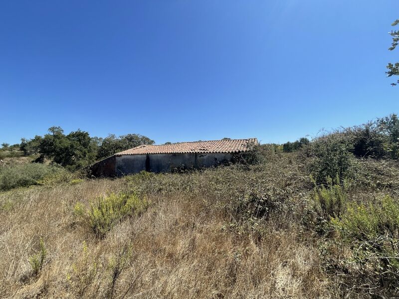 Land with 221500sqm Zambujeira do mar São Teotónio Odemira - water, irrigated land, electricity