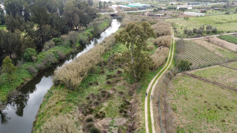 Terreno Agrícola com 9760m2 Mexilhoeira Grande Portimão - água