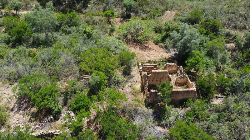 земля смешаный c 56916m2 Vale Figueira São Bartolomeu de Messines Silves - оливковые деревья, sobreiros