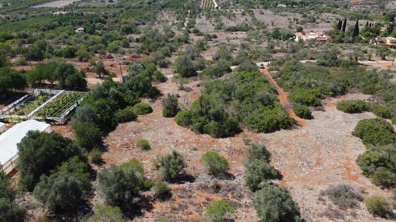 земля загородный c 2800m2 Corgo São Bartolomeu de Messines Silves - свет, вода