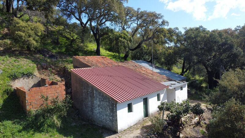 Land Rustic with 20100sqm Monchique - fruit trees, electricity, water