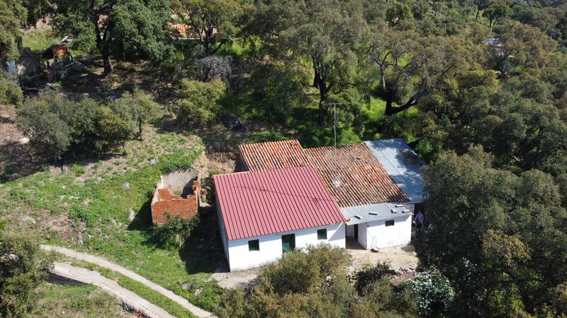 Land Rustic with 20100sqm Monchique - fruit trees, electricity, water