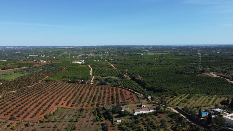 House/Villa in the field V5 Franqueira Silves