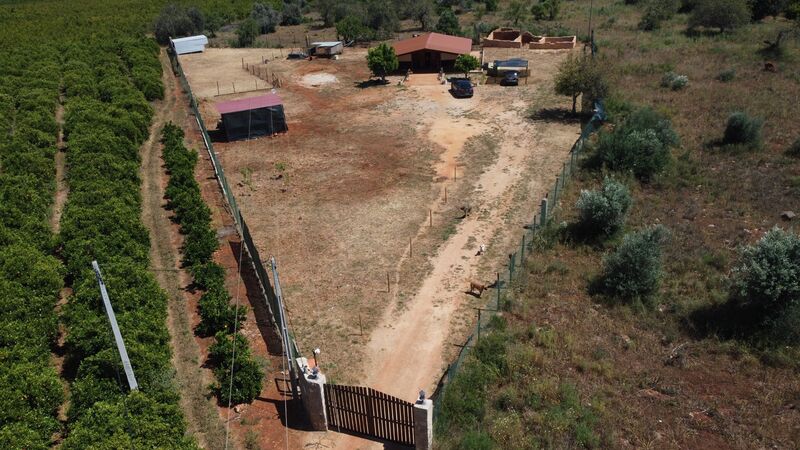 Land Urban/agricultural with 4191sqm Ribeira Baixa Silves - electricity, excellent access, construction viability