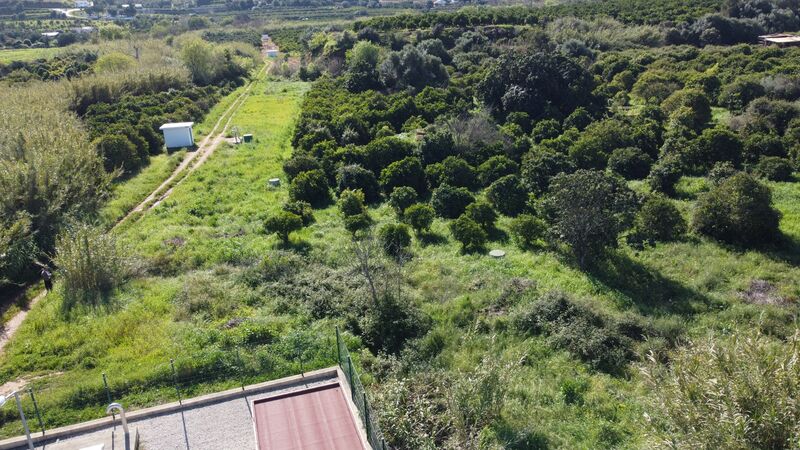 Land Agricultural with 540sqm Santo Estêvão Silves - water, electricity