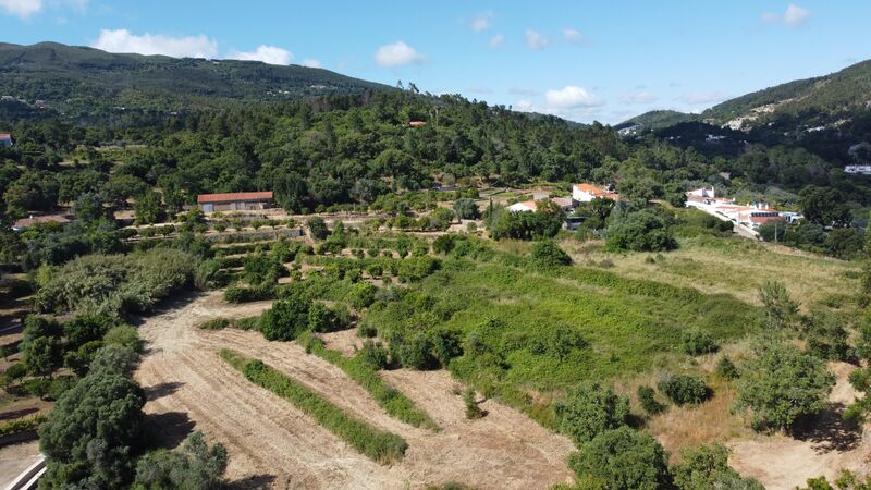 Farm V3 Caldas de Monchique - good access, water