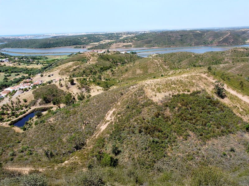 Farm 6 bedrooms Falacho Silves - solar panels, mains water, water, good access, electricity, solar panels