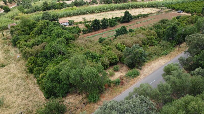Land Agricultural with 7853sqm Barragem Silves - electricity, fruit trees, water, easy access