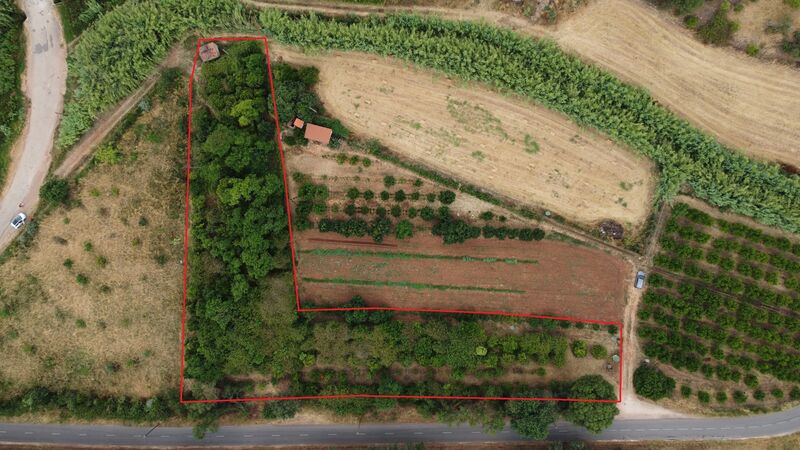 Land Rustic with 7853sqm Barragem Silves - water, electricity, fruit trees, easy access