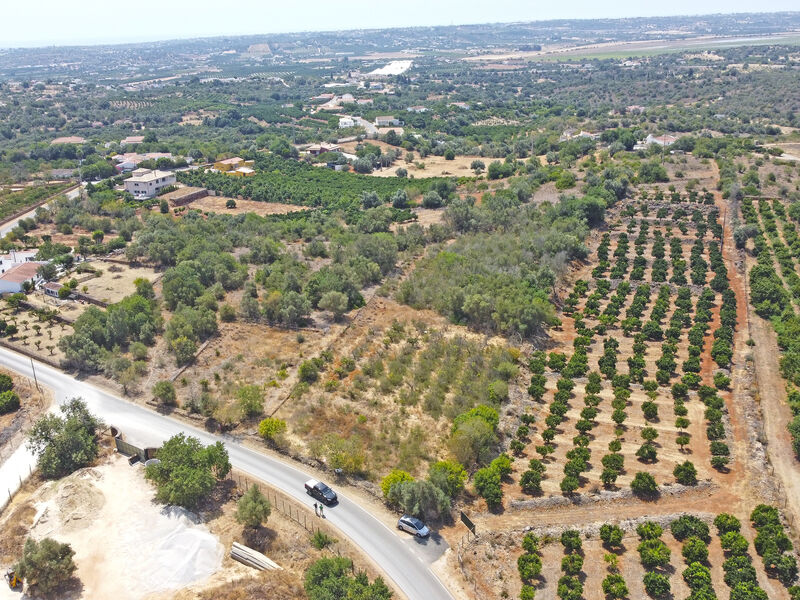 Lote de terreno Agrícola com 8240m2 Silves - electricidade, água
