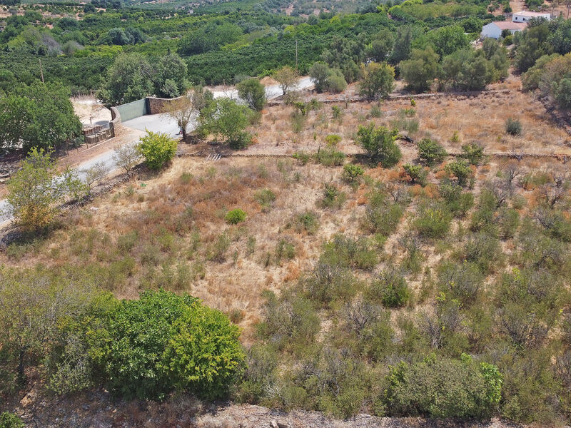 Plot Agricultural with 8240sqm Silves - electricity, water