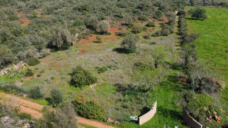 Land Rustic with 11522sqm Paderne Albufeira - electricity, easy access, water, great location