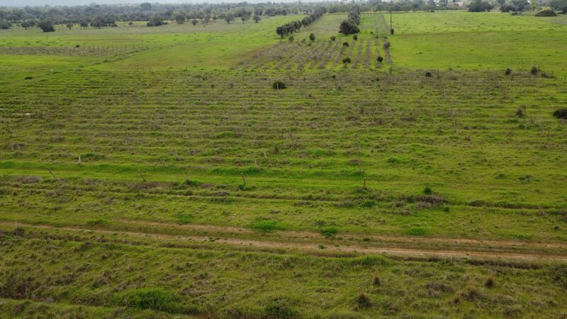 Plot Rustic for construction Carrasqueiro Paderne Albufeira