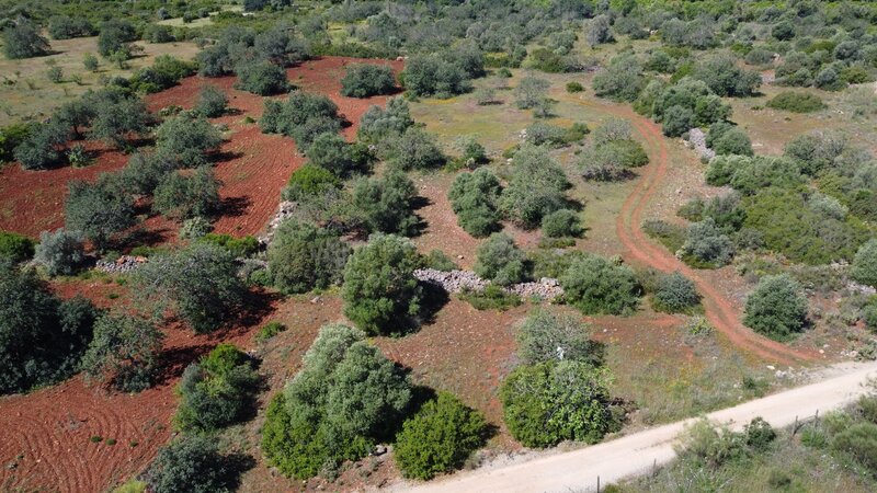 Land Agricultural with 4760sqm Carrasqueiro Paderne Albufeira - good access, electricity, electricity, easy access, water