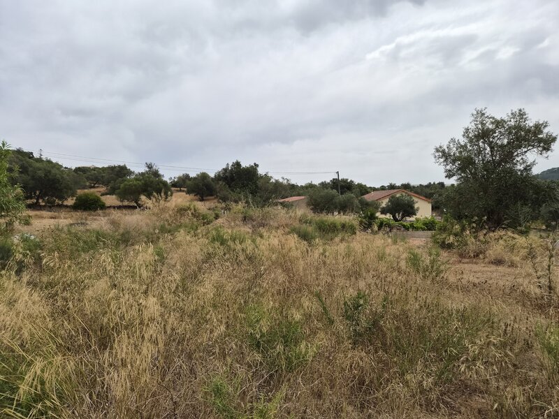 Land Agricultural with 8600sqm Pedreiras São Bartolomeu de Messines Silves - electricity, water, easy access