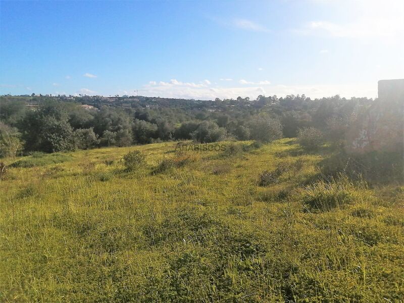 Land with 4690sqm Lagoa - Estômbar Lagoa (Algarve)