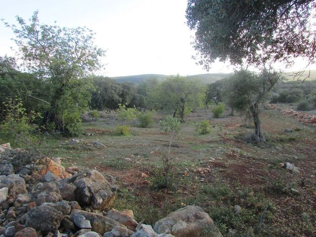 Land with 8300sqm Tôr (loulé)