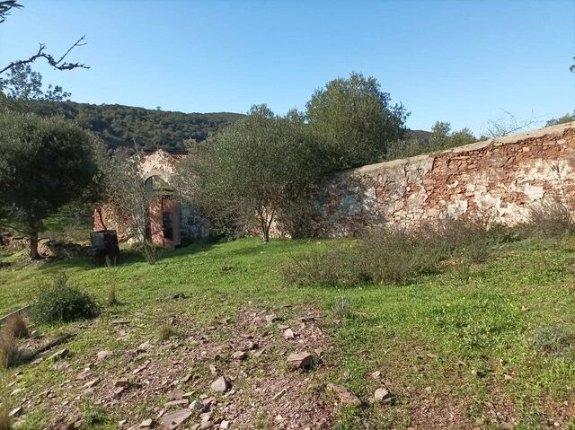 Land for construction São Brás de Alportel - water, olive trees, easy access, cork oaks, electricity