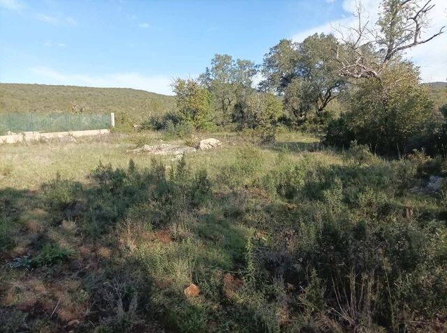 Terreno com 15640m2 Tôr (loulé) - bons acessos