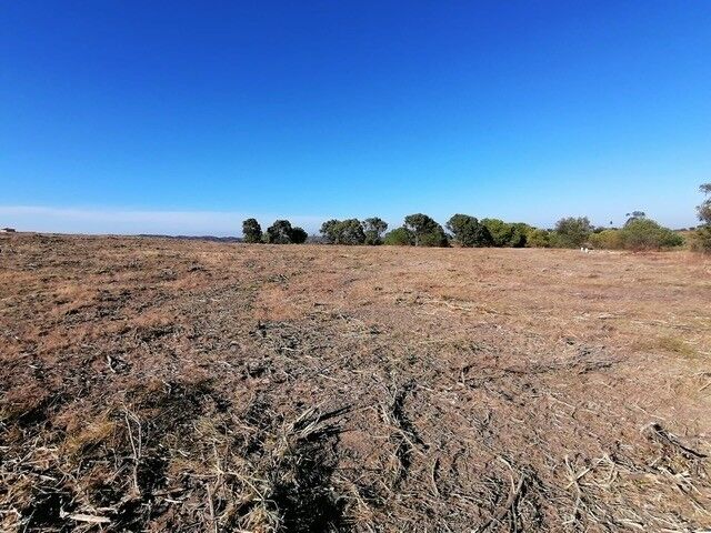 Terreno com 3523m2 Vila Nova de Cacela Vila Real de Santo António