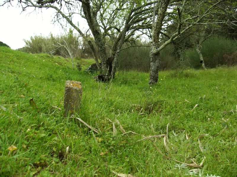 Terreno Misto com 16520m2 Sesmarias Olhos de Água Albufeira - excelentes acessos