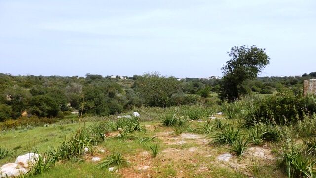 земля смешаный c 62.76m2 Tavagueira Guia Albufeira - вид на море, оливковые деревья, великолепное месторасположение