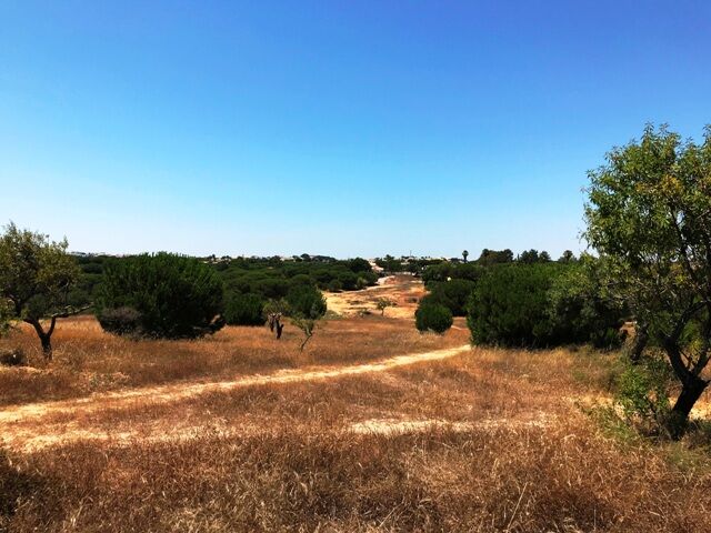 Land Rustic with 10960sqm Vale Navio Olhos de Água Albufeira - water, excellent access