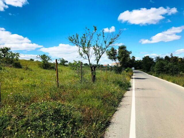 Land Rustic with 19000sqm Poço das Canas Guia Albufeira - olive trees, well