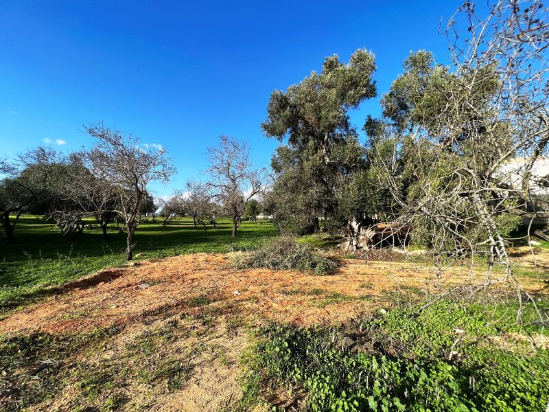 Plot of land Urban with 9601sqm Albufeira