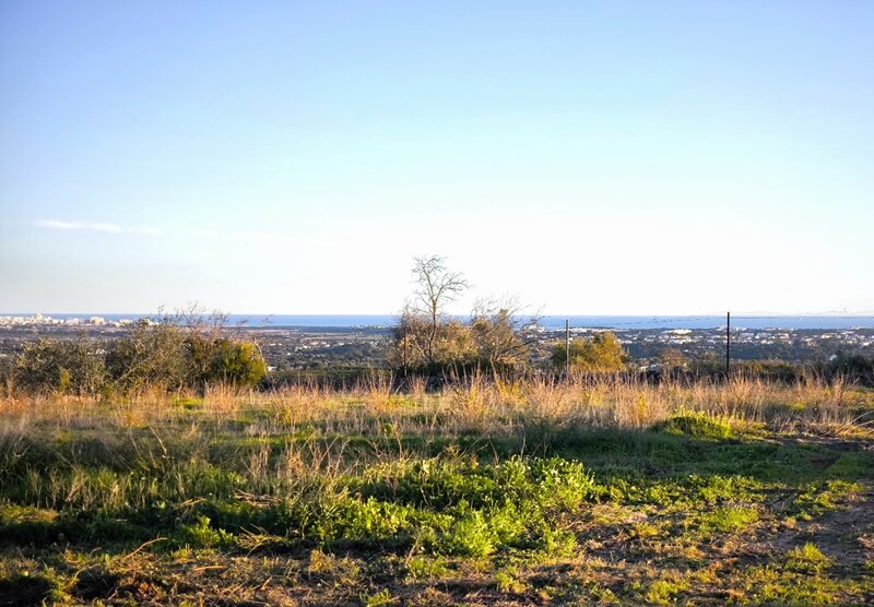 Land with ruin Cotovio Ferreiras Albufeira - fruit trees, sea view, water hole