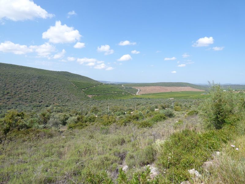 Land Rustic with 6244sqm Alte Loulé - water, good access, electricity