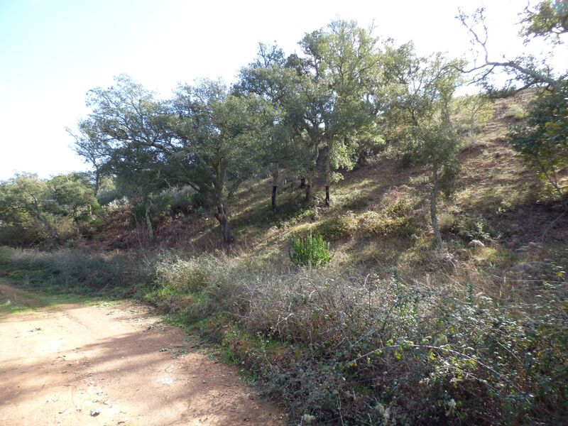 Land Rustic with 93560sqm São Marcos da Serra Silves - water, well, cork oaks