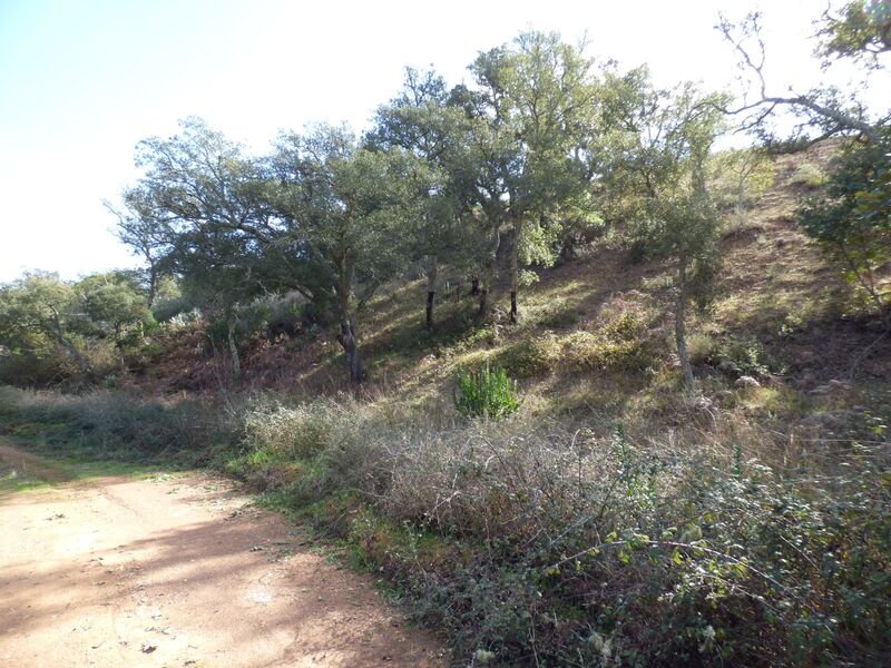 Terreno Rústico com 93560m2 São Marcos da Serra Silves - água, poço, sobreiros