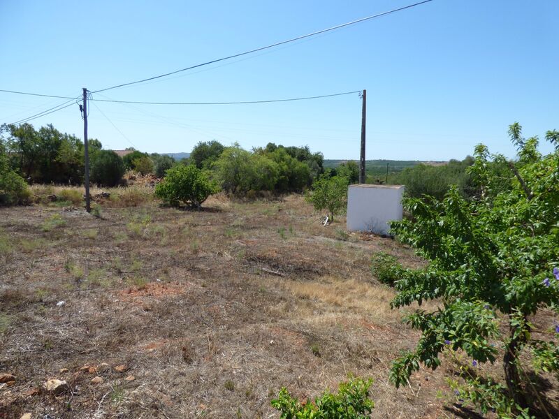 Plot Rustic flat Benaciate São Bartolomeu de Messines Silves - water, water hole, good access, electricity, beautiful views, mains water