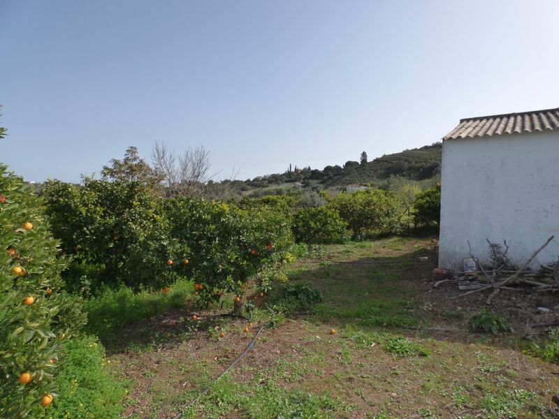 Terreno Rústico com 5240m2 São Bartolomeu de Messines Silves - electricidade, furo, árvores de fruto, água