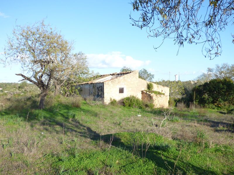 Land Rustic flat Alcantarilha Silves - electricity, good access, water