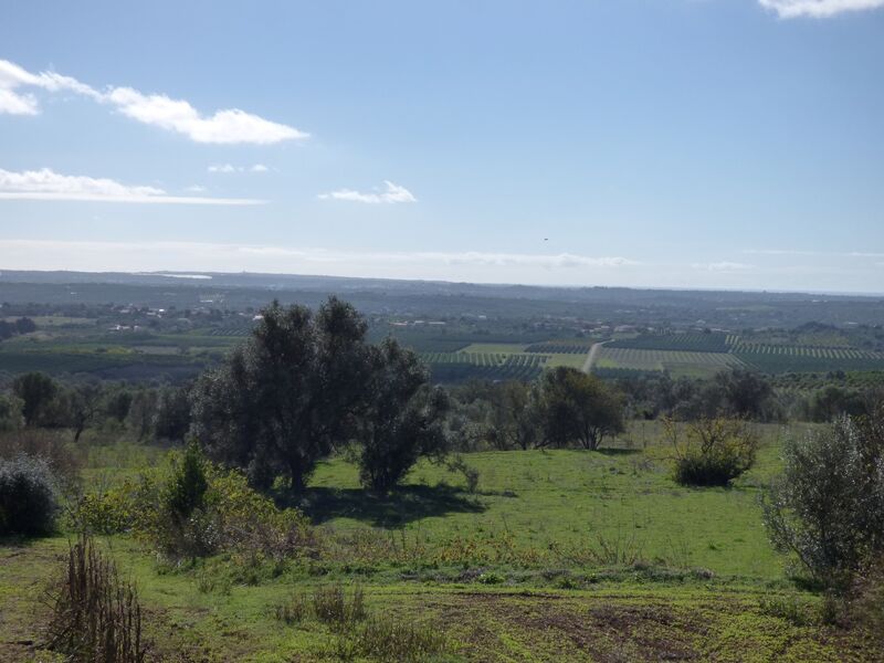 House 3 bedrooms Semidetached to renew São Bartolomeu de Messines Silves - beautiful views