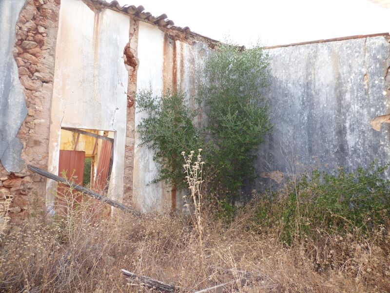 -213656796_IDf2bfa301-0000-0500-0000-0000165051e9.JPG