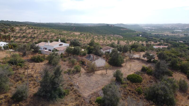 -213656796_IDf2bfa301-0000-0500-0000-0000165051ef.JPG