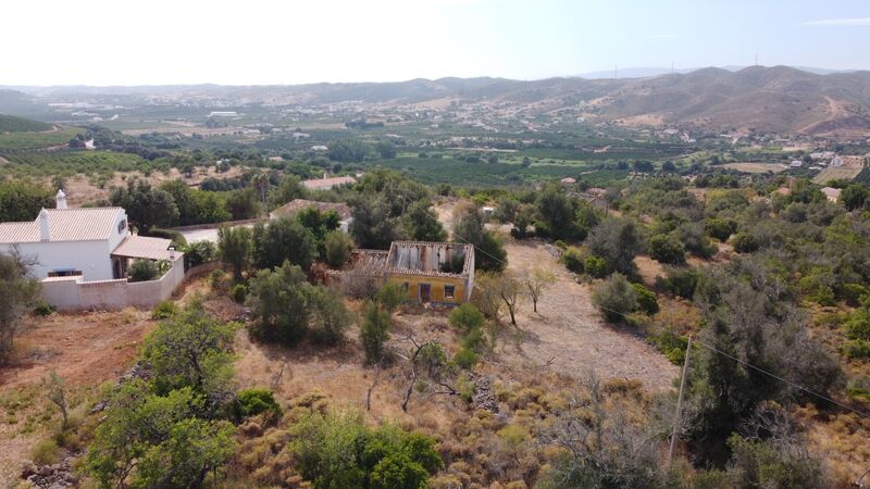 -213656796_IDf2bfa301-0000-0500-0000-0000165051f1.JPG