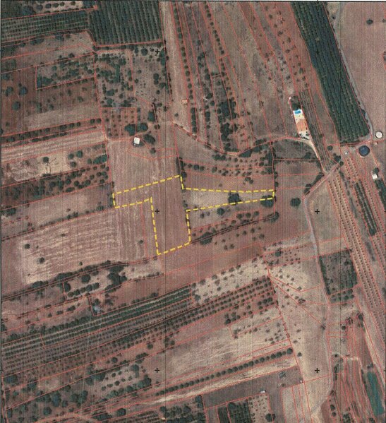 Terreno Rústico com 6440m2 São Bartolomeu de Messines Silves - água, luz