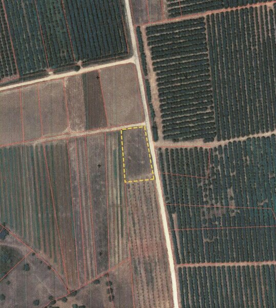 Terreno Agrícola com 1780m2 São Bartolomeu de Messines Silves - água, bons acessos
