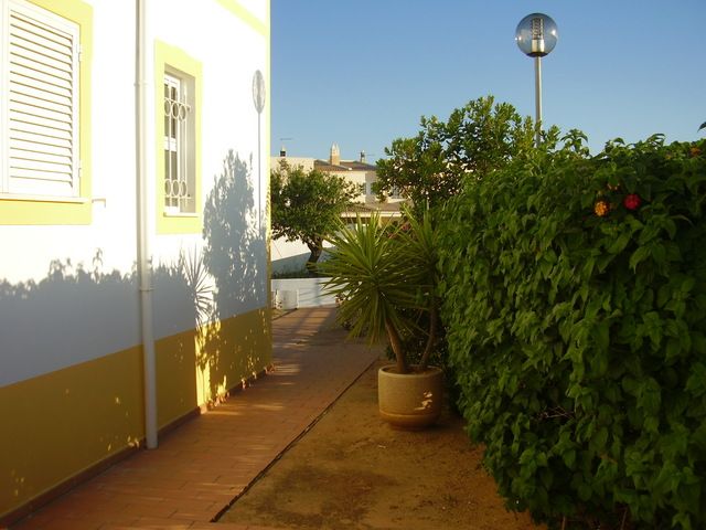 AA_P5230185.JPG