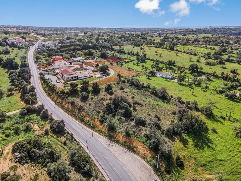 Land Rustic with 3350sqm Guia Albufeira - fruit trees, olive trees