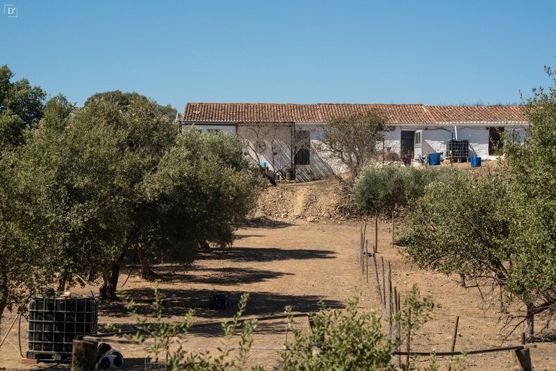 Casa V2 São Miguel do Pinheiro, São Pedro de Solis e São Sebastião dos Carros Mértola - painéis solares