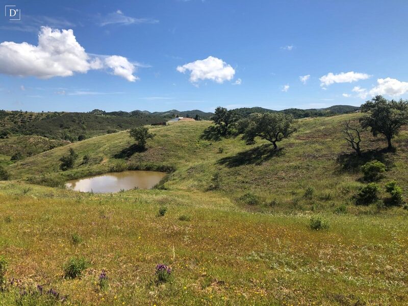 Terreno Misto com 176900m2 São Marcos da Serra Silves - água, electricidade, furo