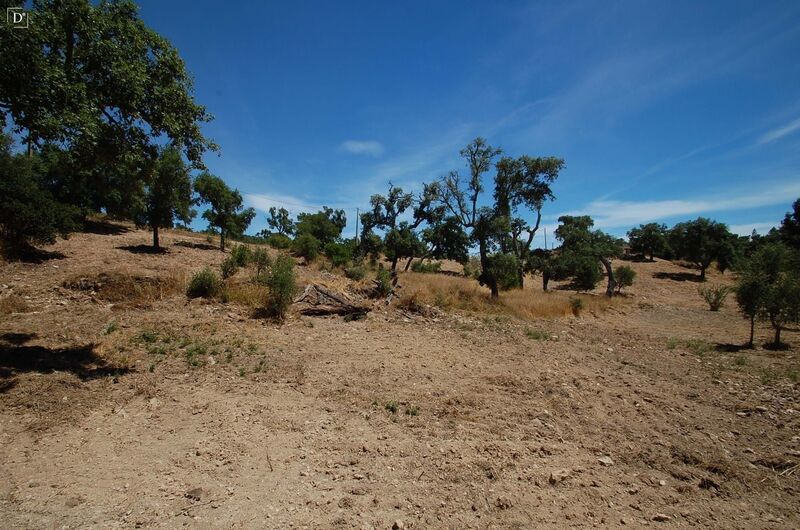 Plot of land Urban with 1565sqm São Brás de Alportel - garage