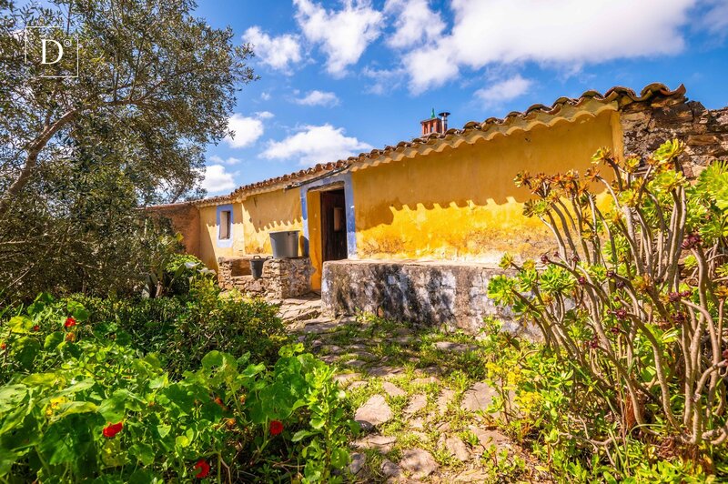 Casa Renovada V0 São Marcos da Serra Silves - jardins